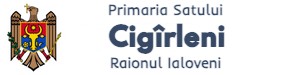 Primăria Exemplu | Pagina Web Oficială a Primăriei Comunei Exemplu – Raionul Exemplu